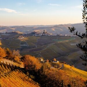 Chionetti: 50% discount on visit and wine tasting